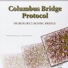 Columbus Bridge Protocol